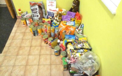 Sbírka pro Šmudlinu