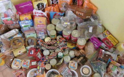 Pomáháme těm, kteří si sami pomoci neumí