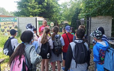 5.A // Návštěva Záchranné stanice Studánka