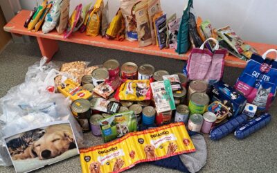 Pomáháme těm, kteří si sami pomoci neumí